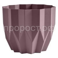 пыльная роза