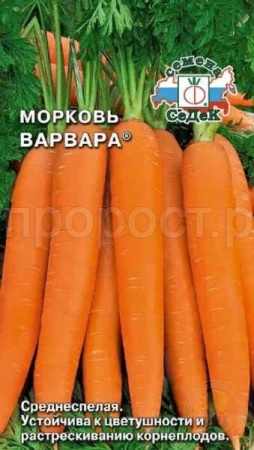 Морковь Варвара 2г Морковь Варвара 2г