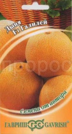 Дыня Галилей F1 15шт