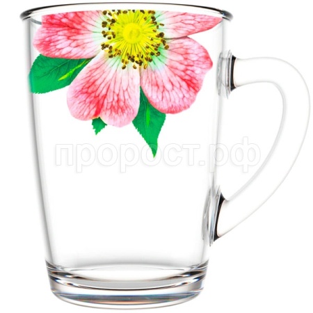 Кружка Живая природа Китайская роза 300мл/334-Д 