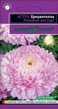 Астра Хризантелла Розовый восторг 0,05 г