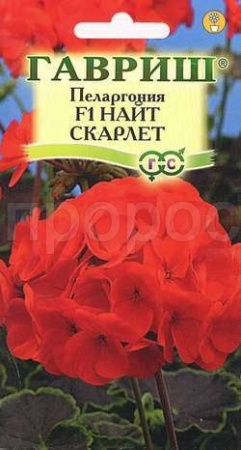 Пеларгония Найт Скарлет F1 зональная 4 шт 