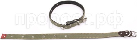 Ошейник брезентовый 20мм Н/У на фетре/180021/Бим