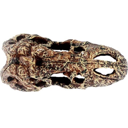 Грот Череп тираннозавра Nomoy Pet 14х7х6см/NMP-NS-111