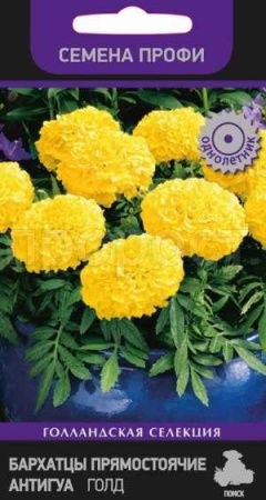 Бархатцы Антигуа Голд 15шт
