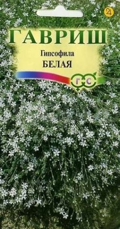 Гипсофила ползучая белая 0,1 г 