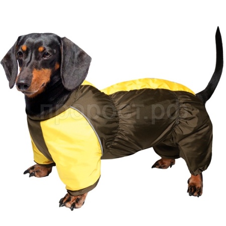 Комбинезон демисезонный Такса 36см S/12212092/Триол