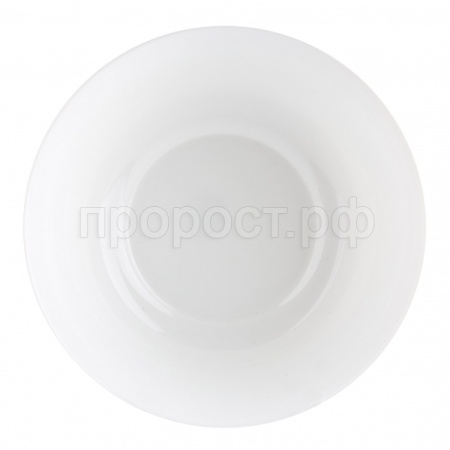 Салатник "Директор белый" 24см