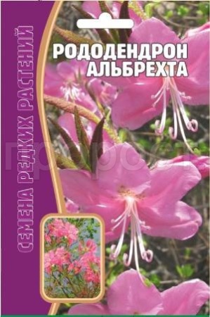 Рододендрон Альбрехта 25 шт