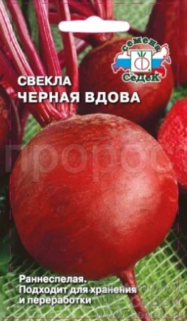 Седек Свекла Черная вдова 3г