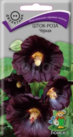 Шток-роза Чёрная 0,1г
